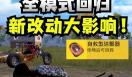 精英体验服新爆料攻略最新,独家解析与实战技巧